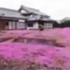 && i will never find another lover sweeter than you ^,,^