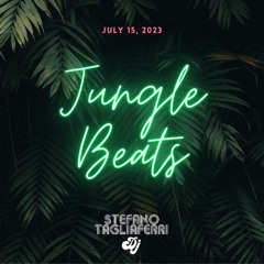 Stefano Tagliaferri Live 1 our set @Junglebeats 2023-07-15