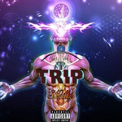Trip (feat. Itssteezybaby)