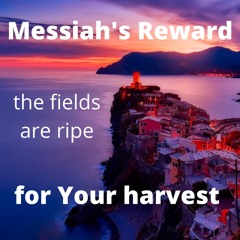 Messiah's Reward