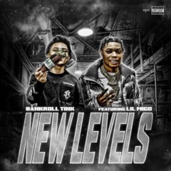 BankRoll Tink x Lil Migo "New Levels"