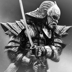 SUBFILTRONIK!!!™ - BLISIMO (FINNINGHAM 'WARRIOR DANCE' REMIX)