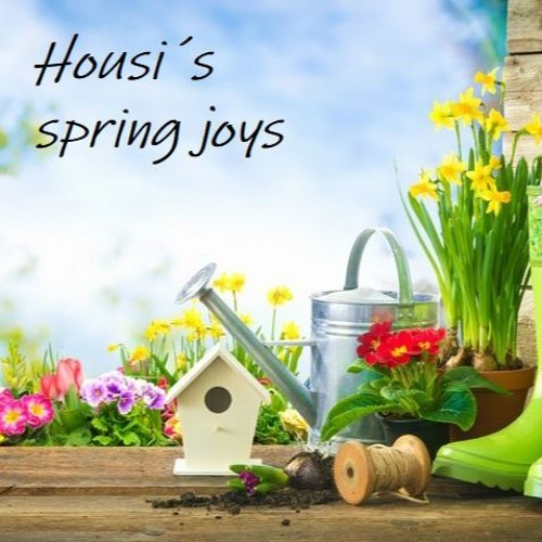 Housi`s spring joys