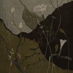 6* Festival Bisani Live Set