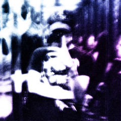 i wish i were a bird </3