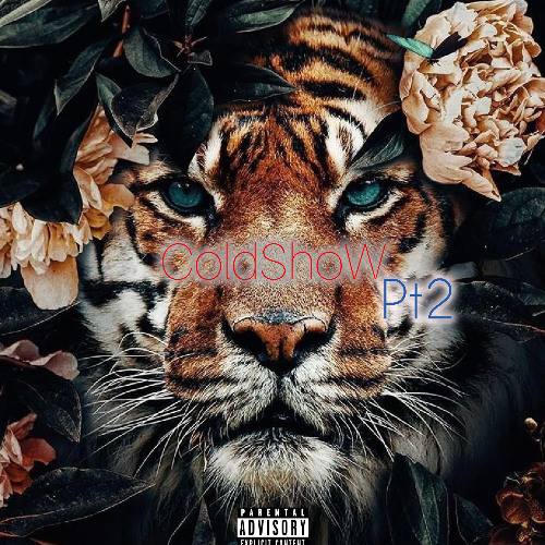 ColdShoW pt2