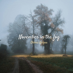 November in the fog