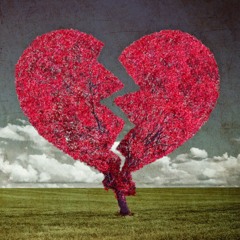 Resenting Romance...as heard on LOVE AFTER LOCK UP (WE)