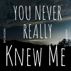 You Never Really Knew Me - Acoustic