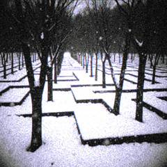 MAZE32 (Anabolic Version)