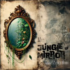 Milo - Jungle Of Mirror (Tomer Maizner Official Remix)