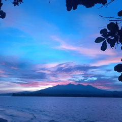 G@RBUSH - Gili Air
