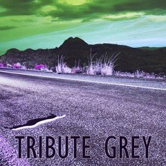 Tribute Grey