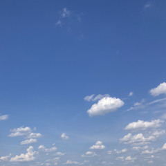 Way Back Down- hook only