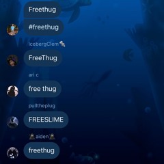 #freethug (prod sham + perdu + fendi)