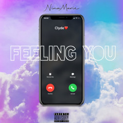 Nina-Marie - Feeling You