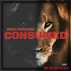 A Peace Of Mind _Roc Nation Faculty