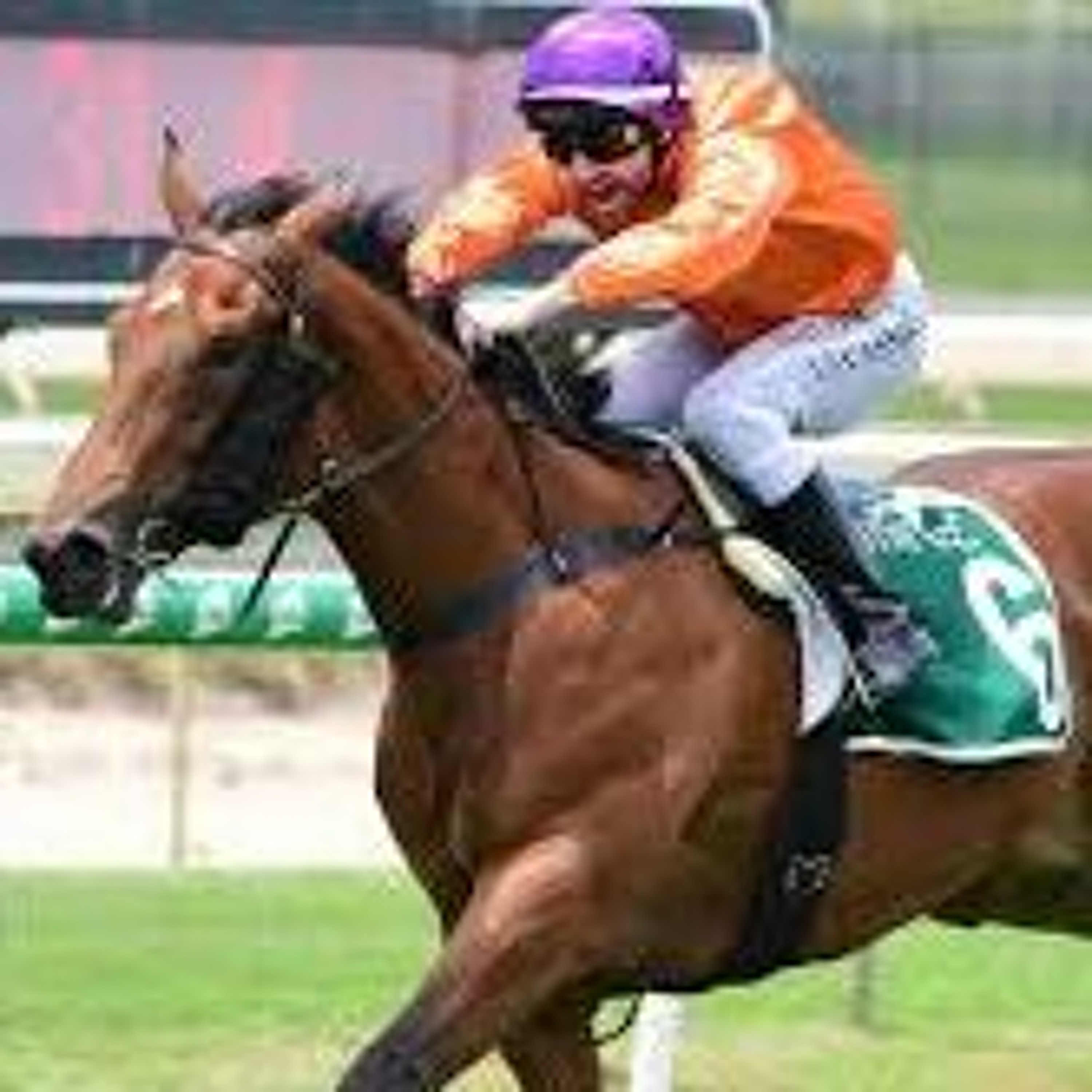 Gold Coast 9th Jan- MM Opener Punting Preview