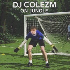DJ COLEZM on jungle