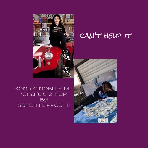 can't help it (charlie 2 flip)