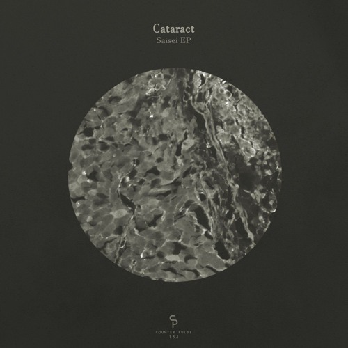 Saisei EP (CP 154) [Counter Pulse]