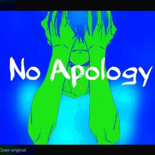 No Apology (Northeast Lights x 5v)