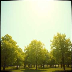 Rise Beyond the Trees