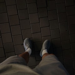song am 50hz demo