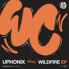 Uphonix & Mr Dubz - Reflections