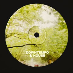 SPRINGY (downtempo & house mix)