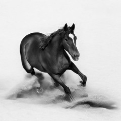 واحر قلباه - للمتنبي - عيون الشعر