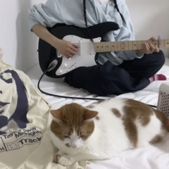 마복필 anti hero
