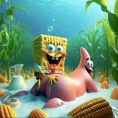 Ketchup Bible blinkers