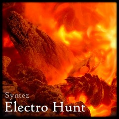 Electro Hunt