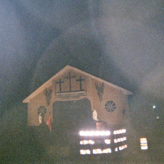 SALEM - Washed Shore Whale