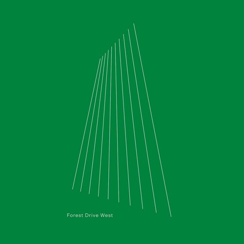 MNMT Premiere: Forest Drive West – Invisible