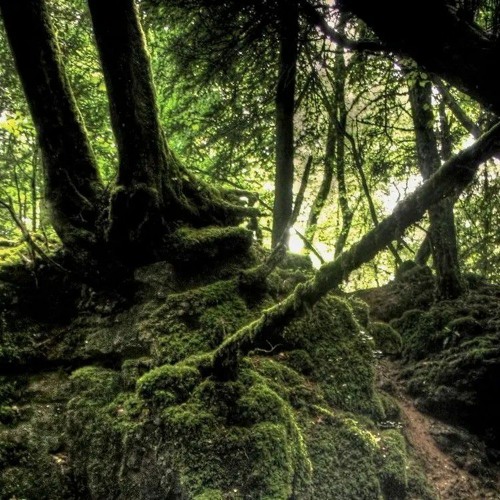 《`☆goth - sidewalks and skeletons☆`》