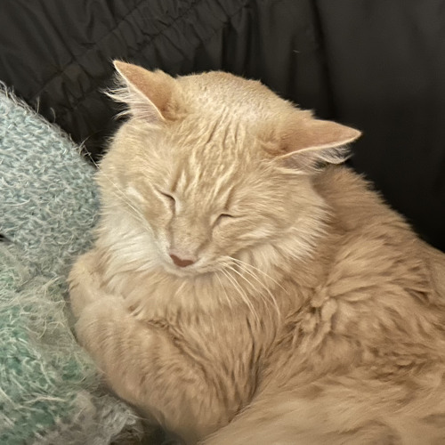 what day is it, october? (free throw)