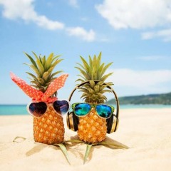 Summer Vibez