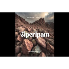 dj eJaa Prst Ciperipampam [Te Pego e Pa] - ScFy Remix viral tiktok