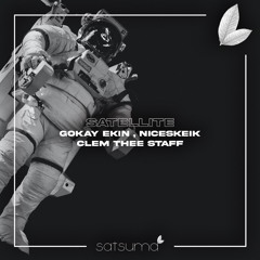 Gökay Ekin , Niceskeik - Satelitte