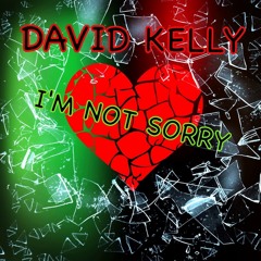 Im not sorry by David Kelly