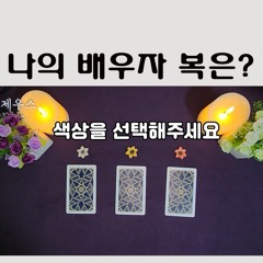 타로 나의 배우자 복은