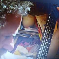jam with moses