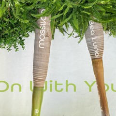 On With You