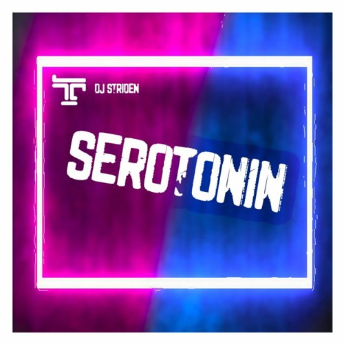 TranzistorZ X DJ Striden - Serotonin