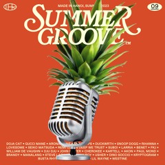 Summer Groove 9