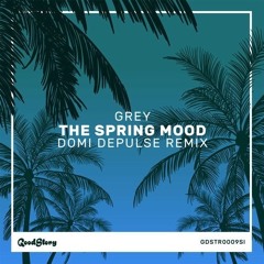 Grey - The Spring Mood (Domi Depulse Remix)