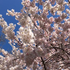 🎤🎸 Rise up, my love, my beautiful one | Song of Songs 2:10-13; 16-17 (22. 2. 23)