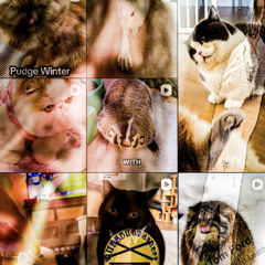 thatfeelin #bustedbludskummsic